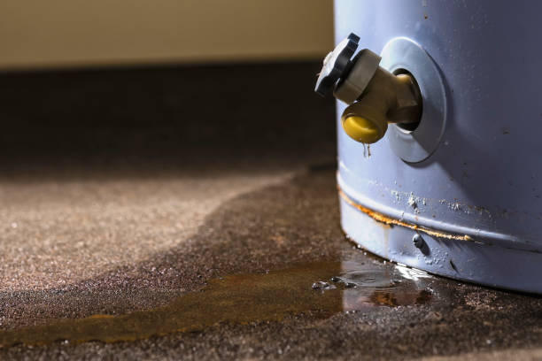 Water damage restoration experts in WY