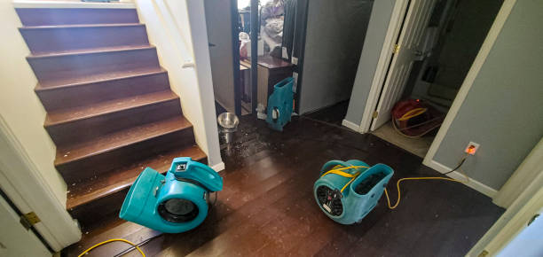  Mills, WY Water damage restoration Pros