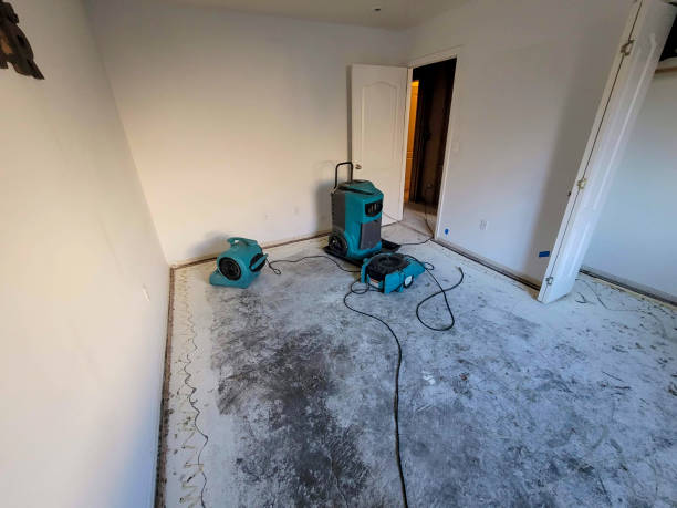 Best Basement water damage restoration  in Mills, WY