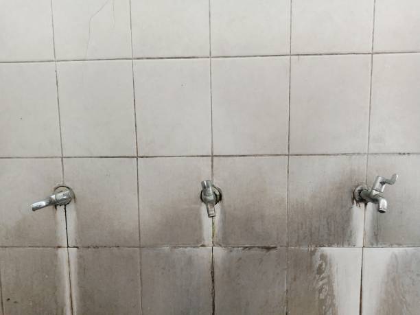 Best Carpet water damage restoration  in Mills, WY