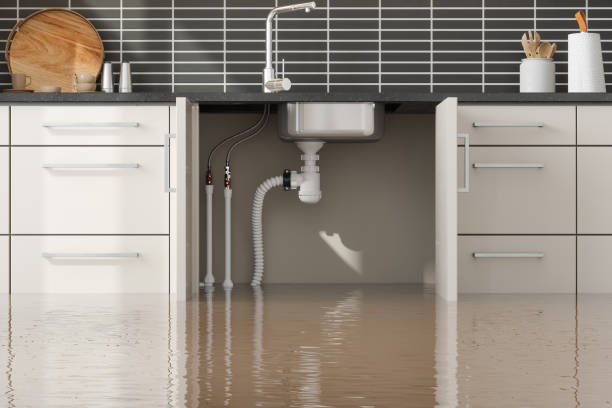 Best 24/7 water damage repair  in Mills, WY