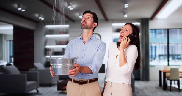 Best Water damage restoration experts  in Mills, WY